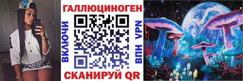 кракен сайт  Котельниково  Псилоцибиновые грибы MAGIC MUSHROOMS 